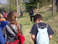 DSCF2058 (Medium)